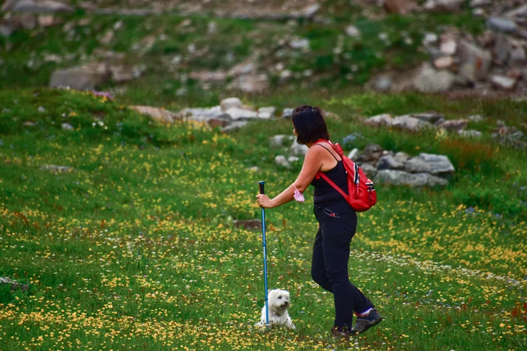 Kobieta uprawia nordic walking
